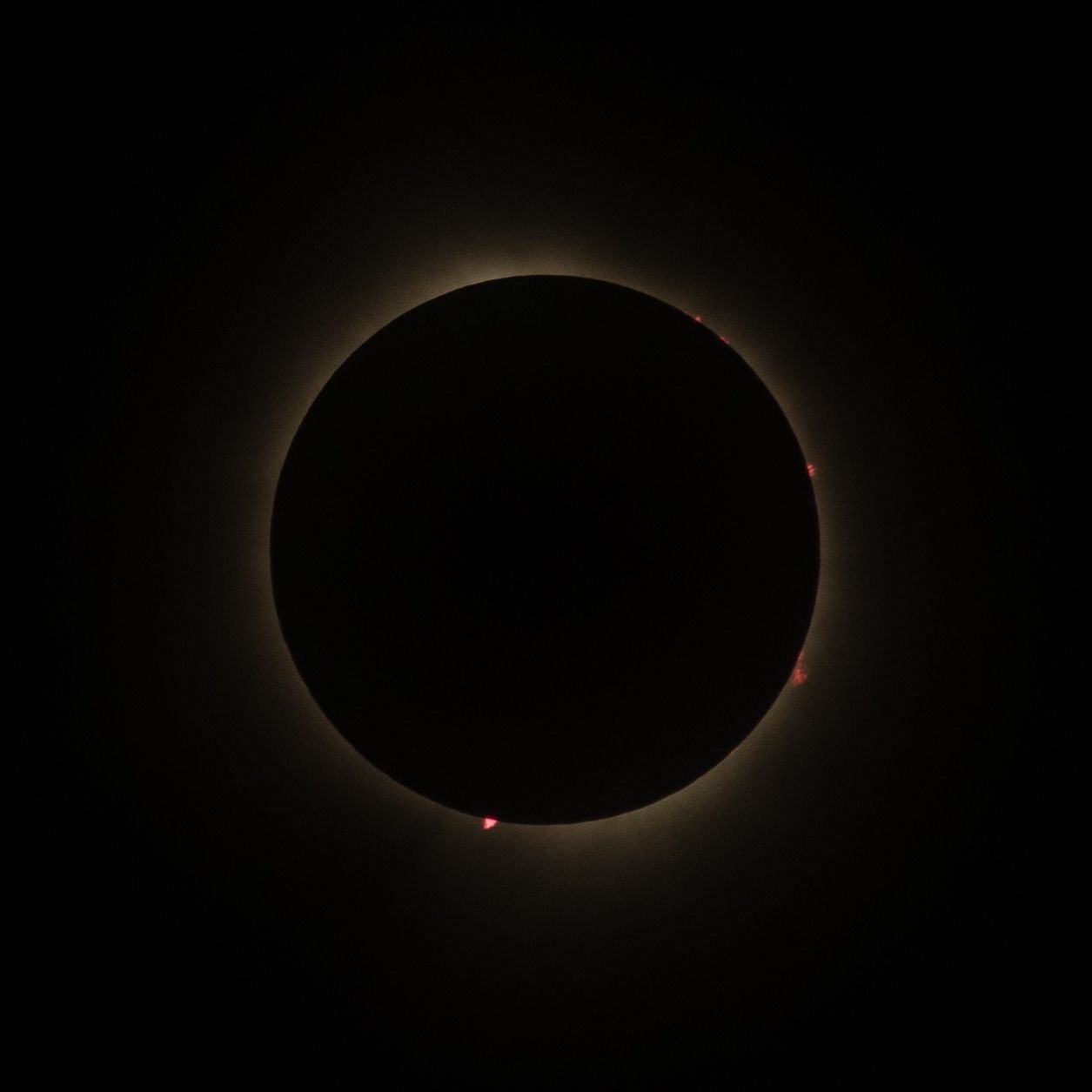 Solar Eclipse, 2024